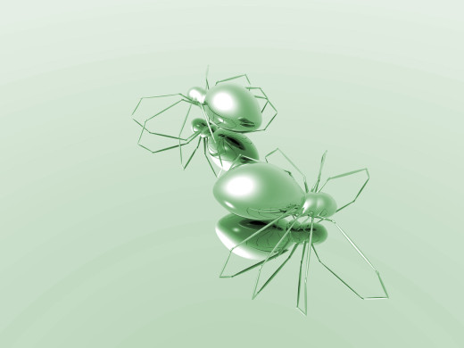 382081 (a): :1600x1200
